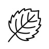 aspenfrontiers.com